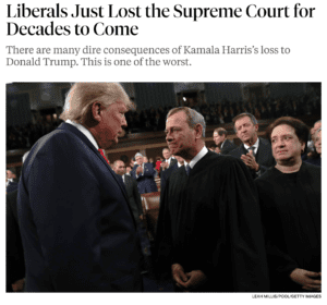 screenshot newrepublic com 2024 11 06 16 27 15