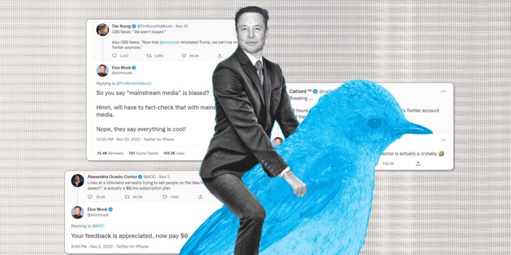 2afbd07 1669390937464 twitter musk oiseau6
