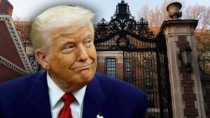 trump harvard 6814b9beb139c