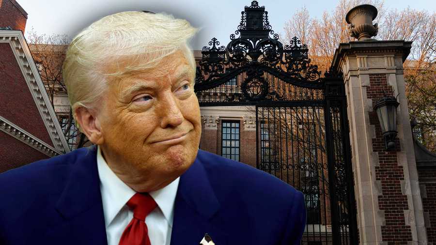 trump harvard 6814b9beb139c