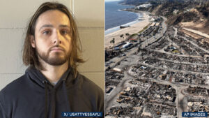 17964757 100825 palisades fire split